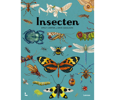 lannoo_insecten[1].jpg